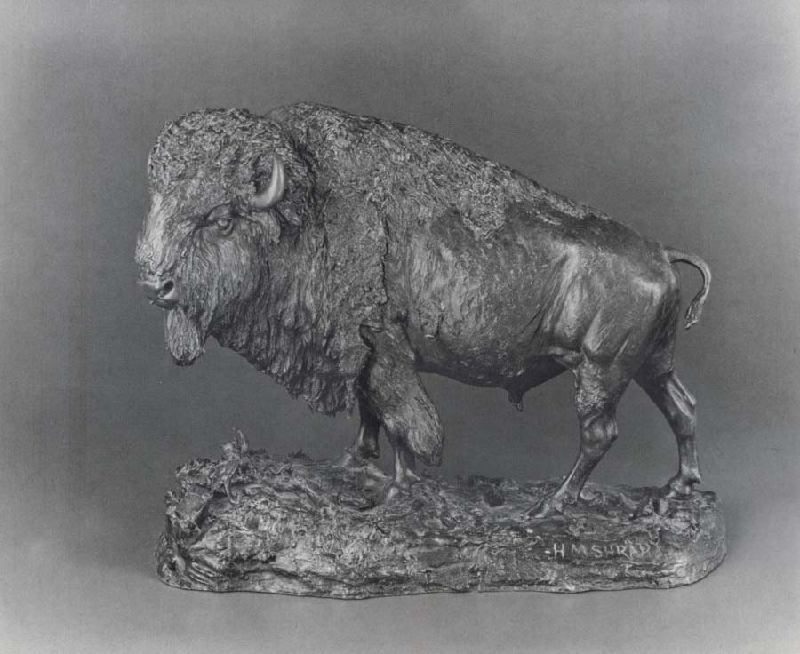 Henry Merwin Shrady Buffalo